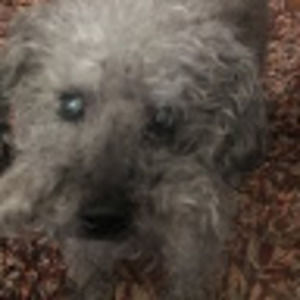 Meet your Posher, Masa